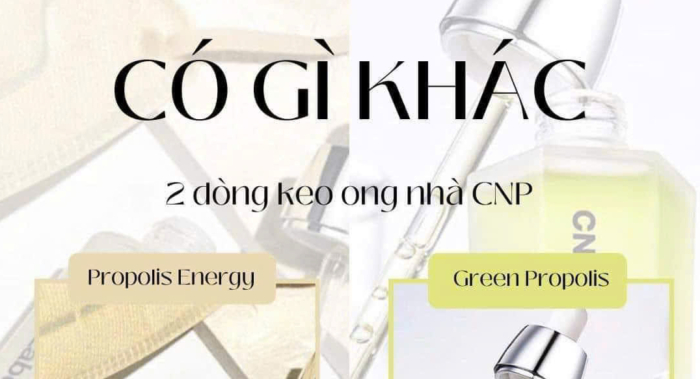Có gì khác nhau giữa 2 dòng keo ong nhà CNP Laboratory?