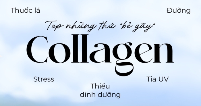 “Thủ phạm” đánh cắp Collagen
