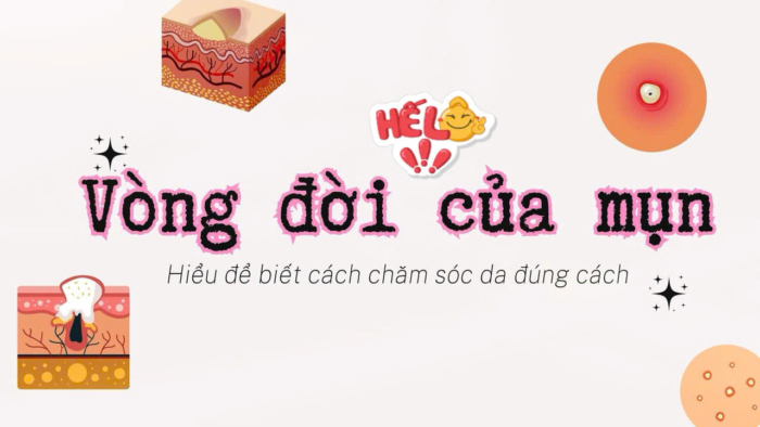 Vòng đời của mụn: những điều quan trọng nhất về quá trình hình thành và phát triển của mụn